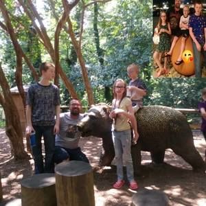 Meet your Posher, Violet